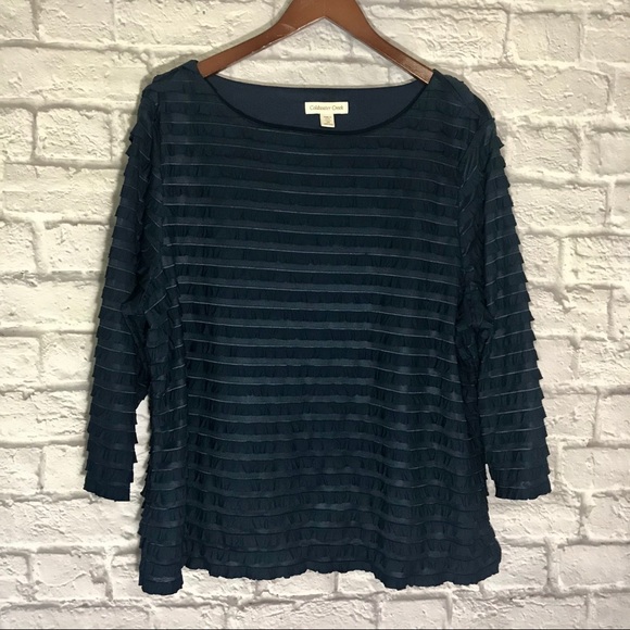 Coldwater Creek Longsleeve Ruffle Top - Picture 1 of 3